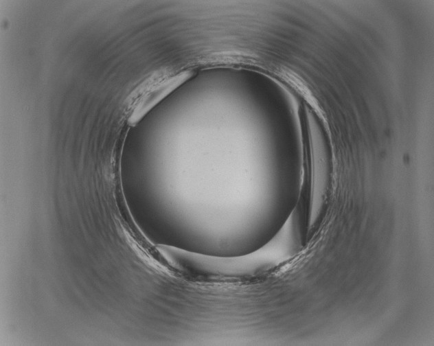 X0000064720389200602171621