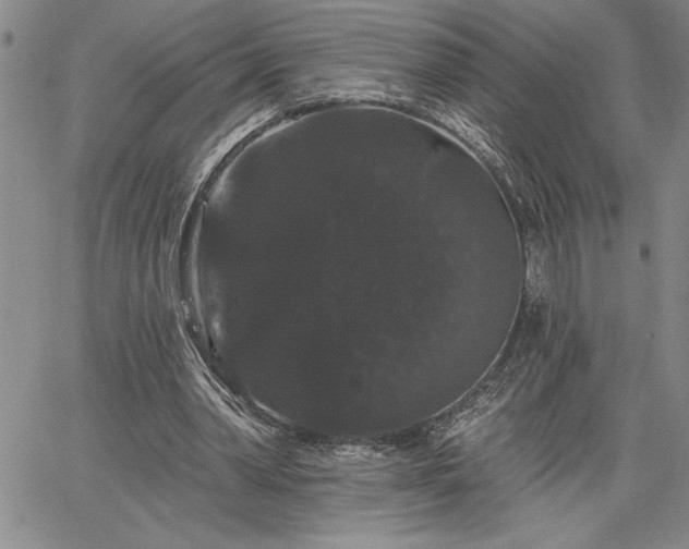 X0000064720390200602171621