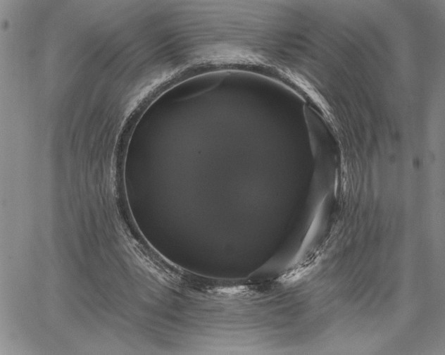 X0000064720391200602171621