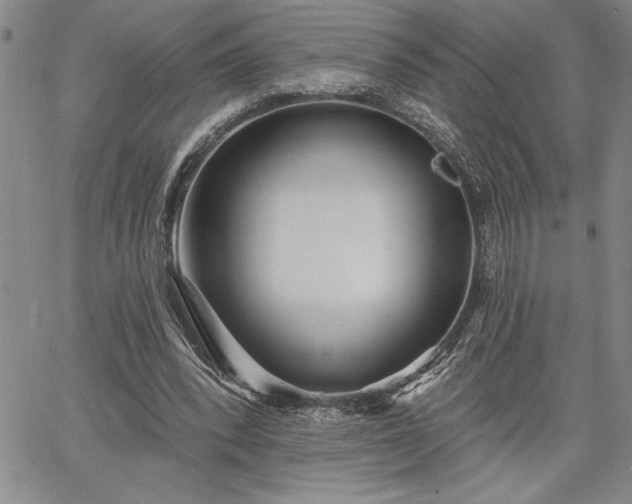 X0000064720392200602171621