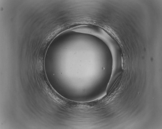 X0000064720393200602171621