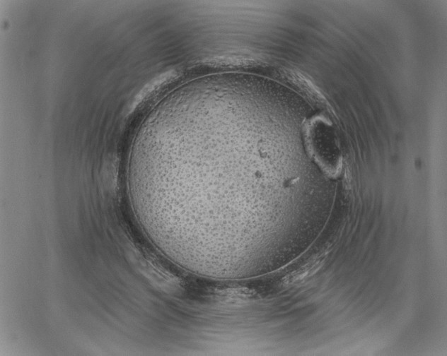 X0000064720396200602171621