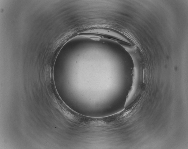 X0000064720397200602171621