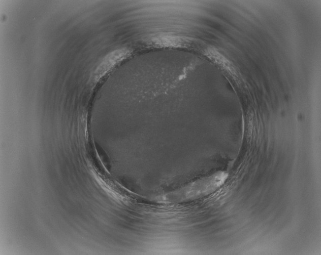 X0000064720398200602171621