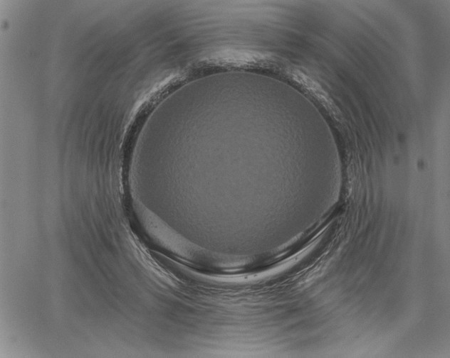 X0000064720399200602171621