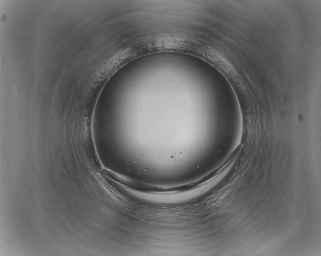 X0000064720401200602171621