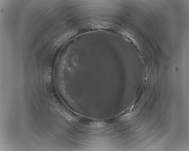 X0000064720402200602171621