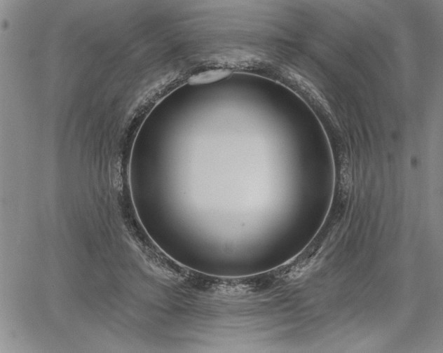 X0000064720403200602171621