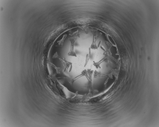 X0000064720404200602171621