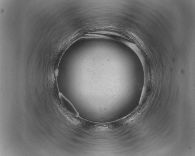 X0000064720405200602171621