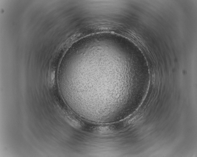 X0000064720406200602171621