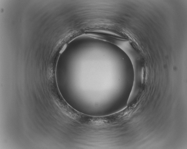 X0000064720407200602171621