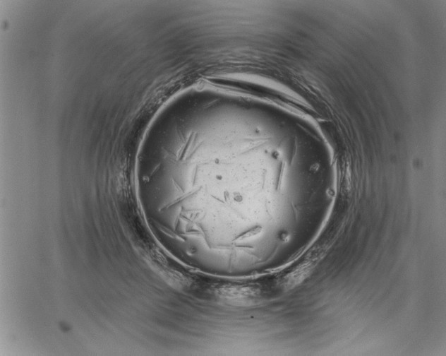 X0000064720408200602171621