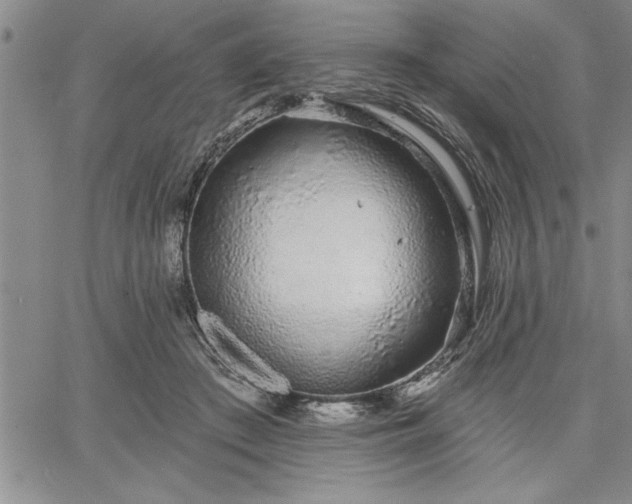 X0000064720409200602171621