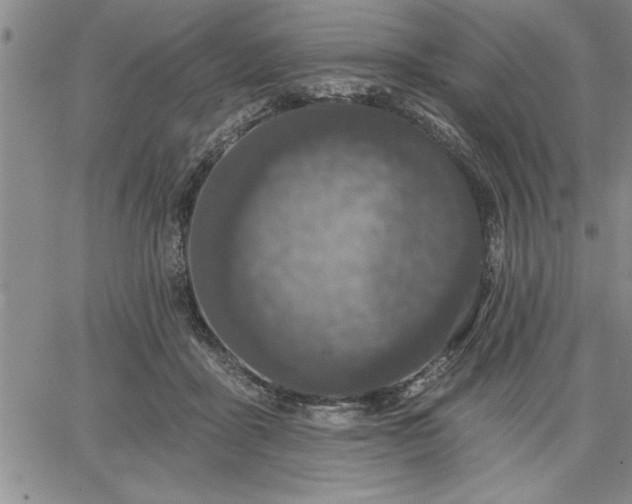 X0000064720411200602171621