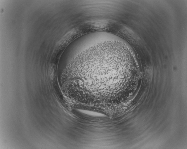 X0000064720412200602171621