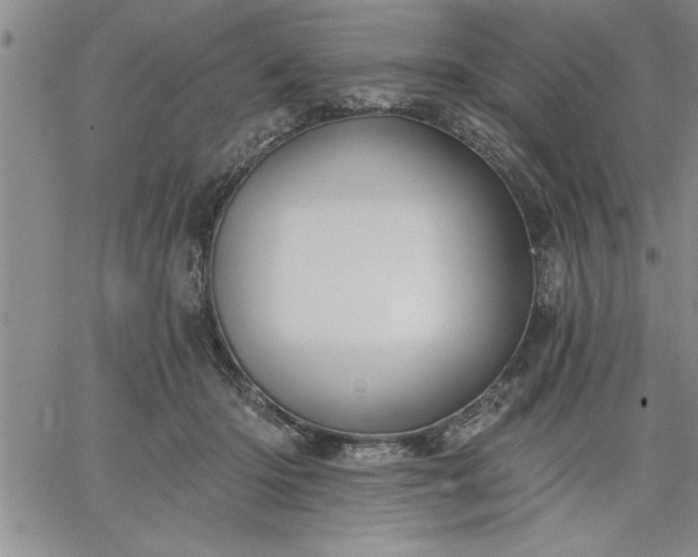 X0000064720414200602171621