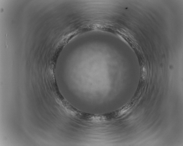 X0000064720415200602171621