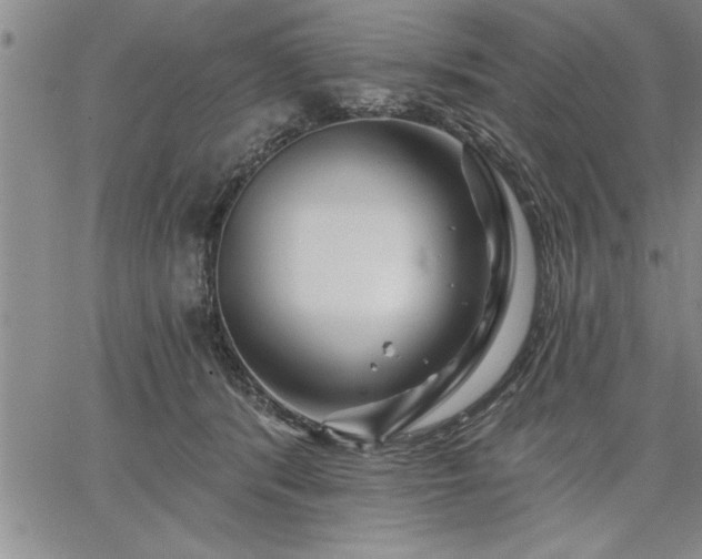 X0000064720416200602171621