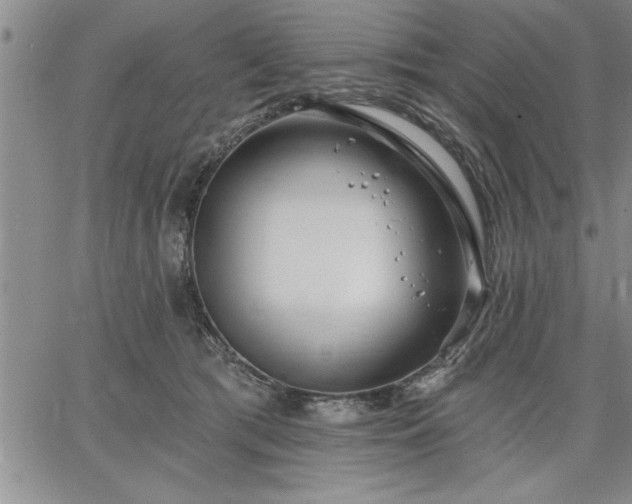 X0000064720417200602171621