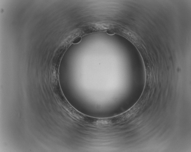 X0000064720418200602171621