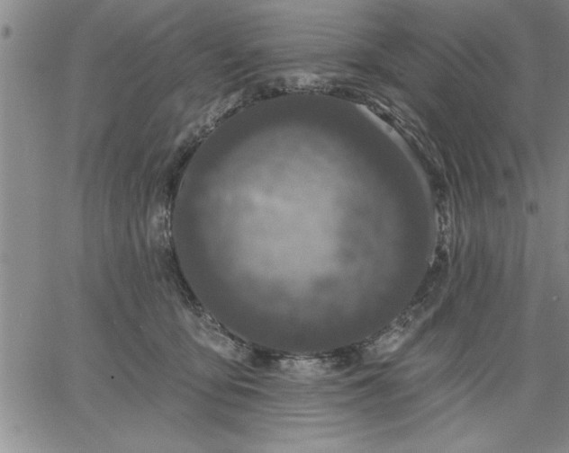 X0000064720419200602171621