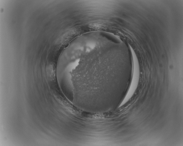 X0000064720420200602171621