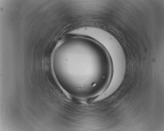 X0000064720421200602171621