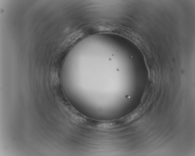 X0000064720422200602171621