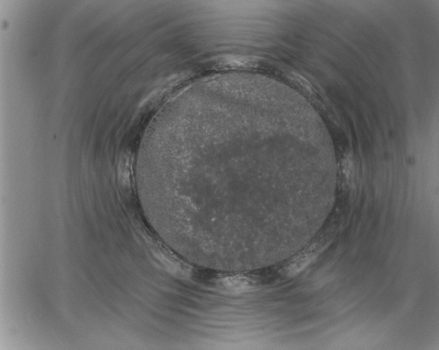 X0000064720423200602171621