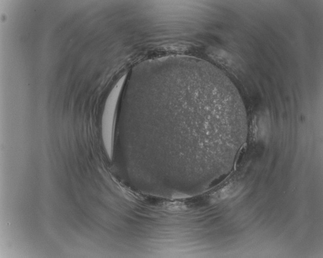 X0000064720424200602171621