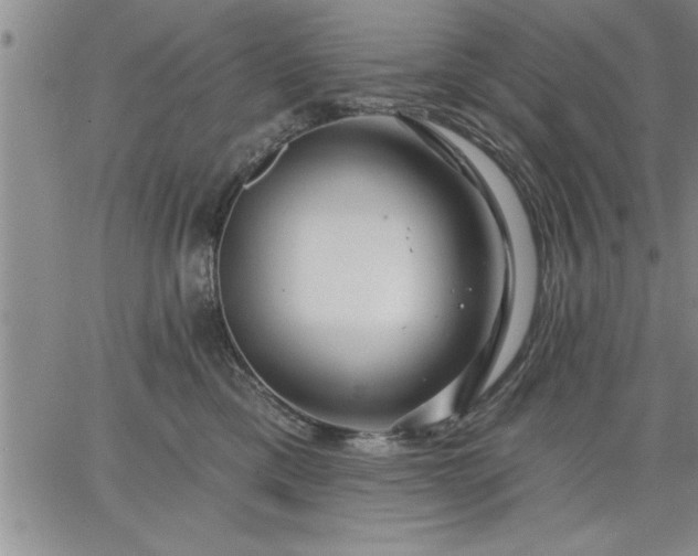 X0000064720425200602171621