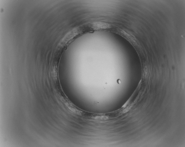 X0000064720426200602171621