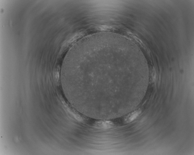 X0000064720427200602171621