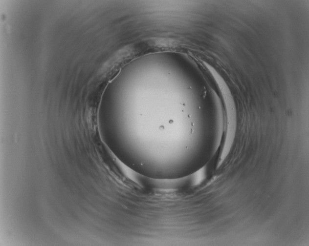 X0000064720428200602171621