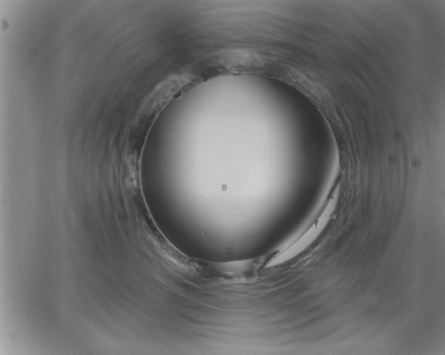 X0000064720430200602171621