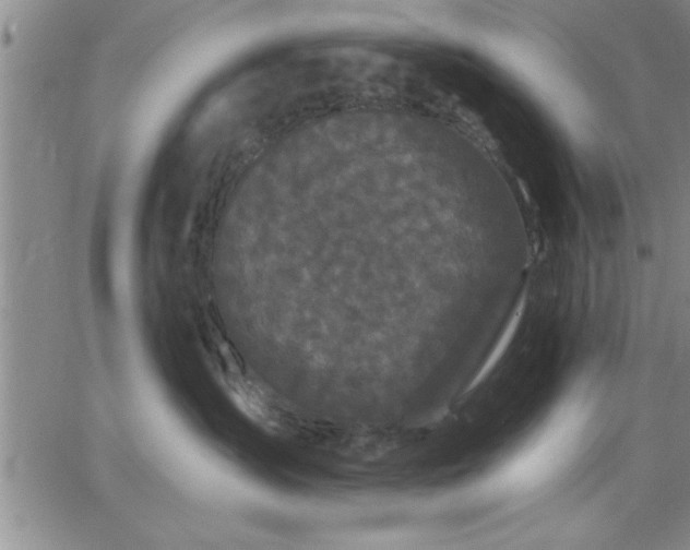 X0000064720431200602171621