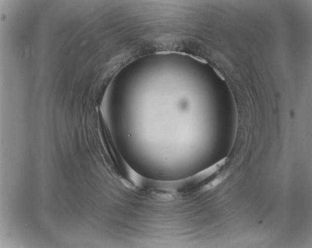 X0000064720432200602171621