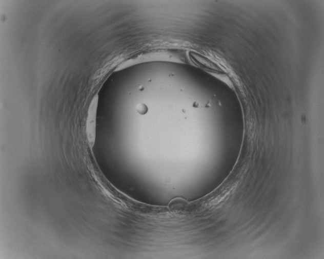 X0000064720433200602171620