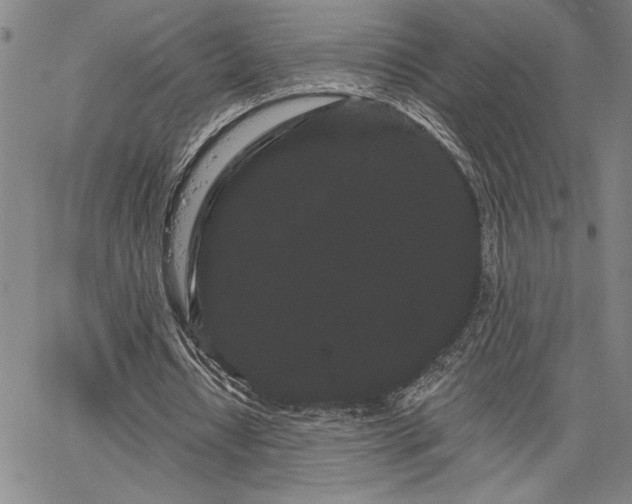 X0000064720434200602171620