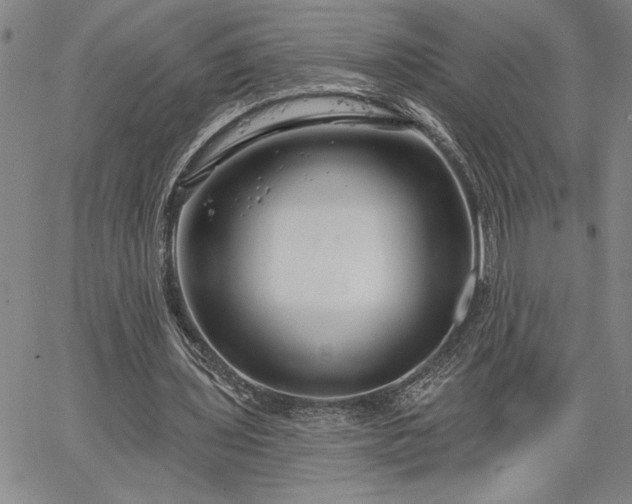 X0000064720435200602171620