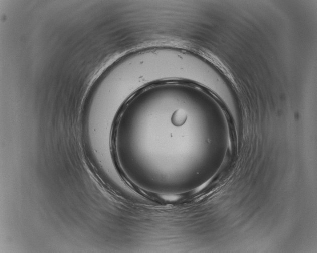 X0000064720436200602171620