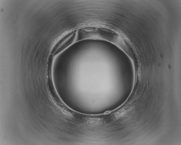 X0000064720438200602171620