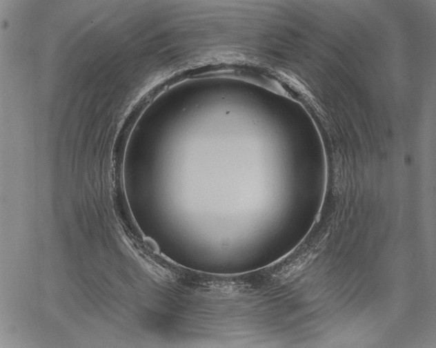 X0000064720439200602171620