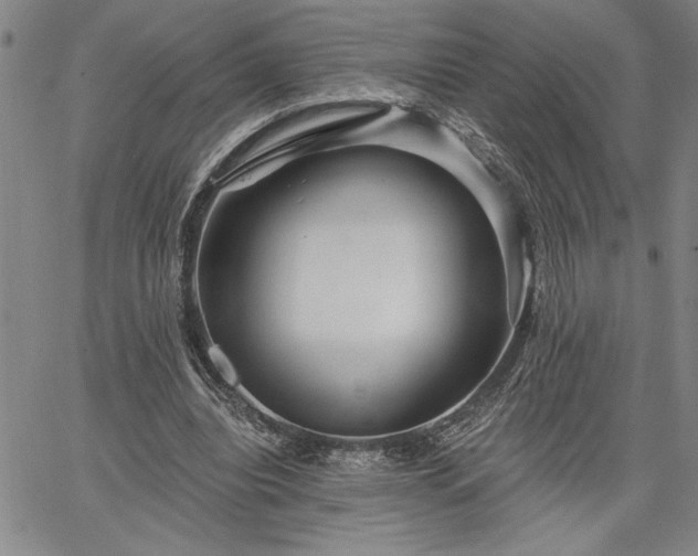 X0000064720440200602171620