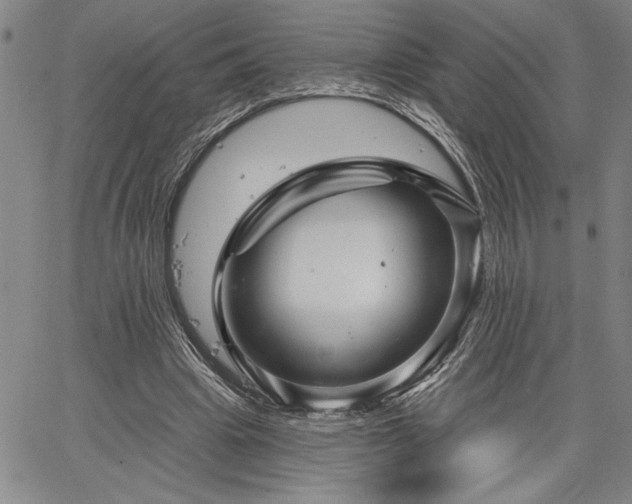 X0000064720441200602171620