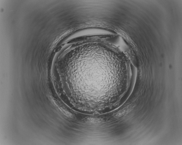 X0000064720442200602171620