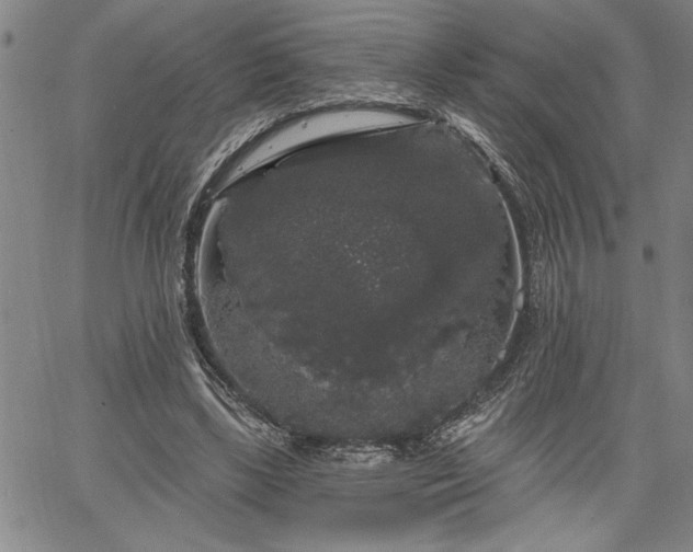 X0000064720443200602171620