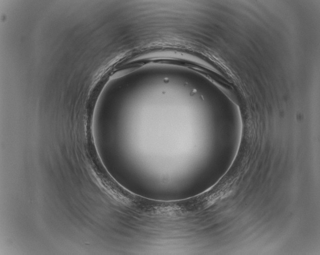 X0000064720446200602171620