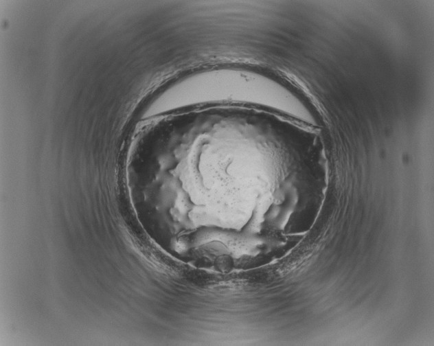 X0000064720447200602171620